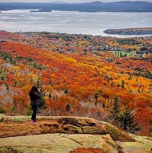 Meet your Posher, Celeste